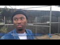 Back To The City Celebrates Freedom Day Through Hip Hop Culture Part 2