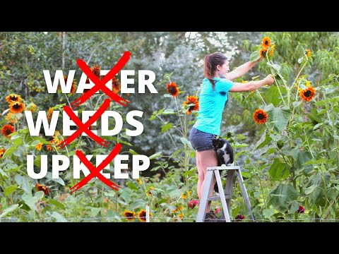 YouTube video about: How to compliment a gardener?