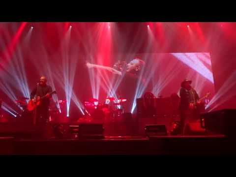 LUCIE - Medvídek, 21.11. 2019 - Znojmo - 6/10