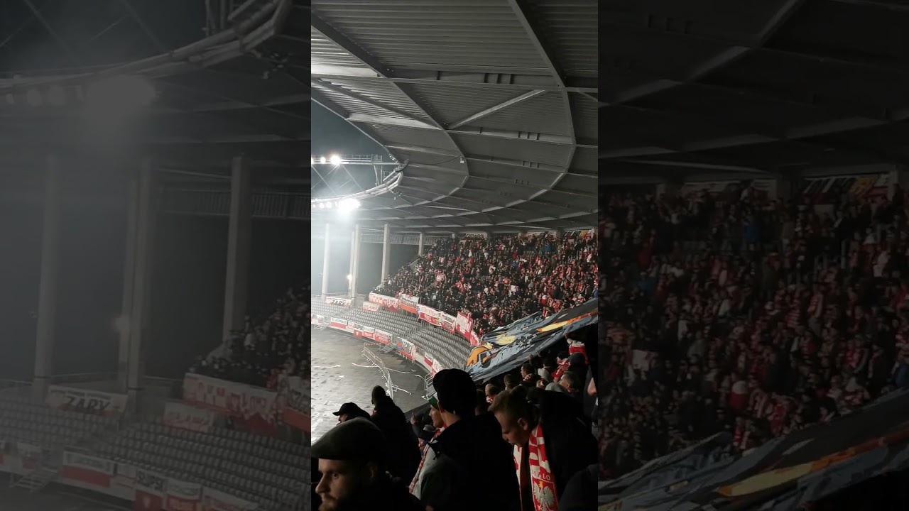 Donald matole, twój rząd obalą kibole! Kibice na meczu Litwa - Polska 0:2 #Polska #reprezentacja