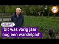 Drooggevallen beken stromen weer, maar veel waterleven ontbreekt nog