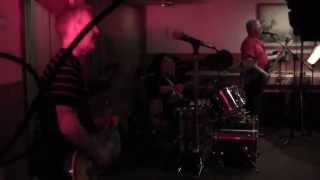 Rockology - House of the Rising Sun Animals cover 5-16-14