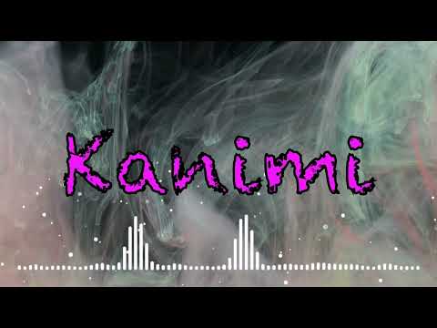 Kanimi karaoke to sing along