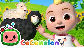 Baa Baa Black Sheep! 🐏 @TheMelonPatchLearningVideos  | CoComelon Nursery Rhymes & Kids Songs