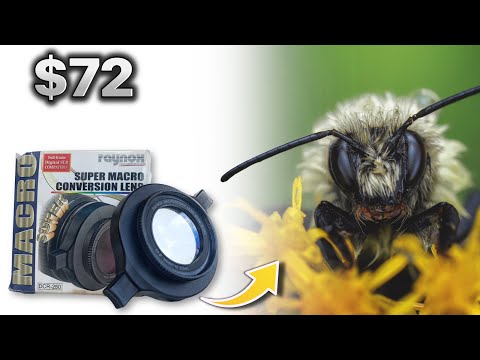 Raynox DCR-250 Snap-on Macro Lens Review