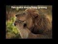 Wild Thing - The Troggs - Lyrics on screen ...