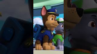 Download lagu Rubble & Crew PAW Patrol Theme Song Mashup w/ Lyrics! | Nick Jr. Music #shorts mp3 Download lagu Rubble & Crew PAW Patrol Theme Song Mashup w/ Lyrics! | Nick Jr. Music #shorts mp3