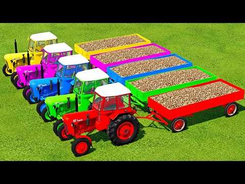 HARVEST SUGAR BEET, LOAD & TRANSPORT WITH FENDT & URSUS MINI TRACTORS - Farming Simulator 22