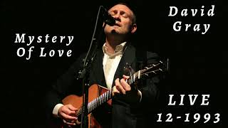 David Gray - Mystery Of Love (Live, acoustic - December 18, 1993 at The Wetlands, New York)