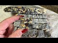 How To Make Addictive Snack Black Sesame Snow Flake Crisp 黑芝麻雪花酥