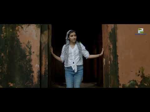 Bikrampur the city of History and Culture  Episode 1  Idrakpur Fort & Sonarong Twin Monastery