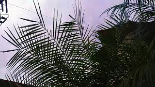 Download lagu mentahan story_-_Dj maula ya sholli wasallim mp3 Download lagu mentahan story_-_Dj maula ya sholli wasallim mp3