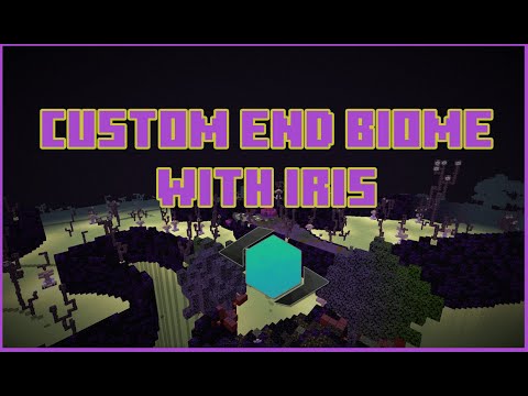 💎 Custom End Biome Install [Iris World Gen | 2022] - Minecraft 1.18.1