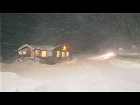 SURVIVING the BIGGEST BLIZZARD of MY LIFE! STRANDED in EXTREME SNOW STORM Winter Van Life Camping