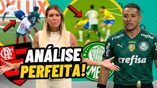 ROUBO CONTRA o FLAMENGO? RENATA FAN REVELA VERDADE SOBRE ERRO DO ARBITRO e VAR no jogo do PALMEIRAS!