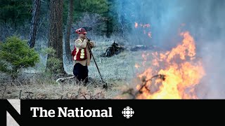 What Canada can learn from how First Nations prevent wildfire disasters