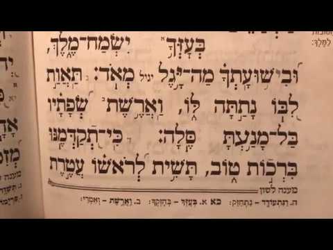 תהלים פרק כא׳ Tehilim perek 21 Psalms chapter 21