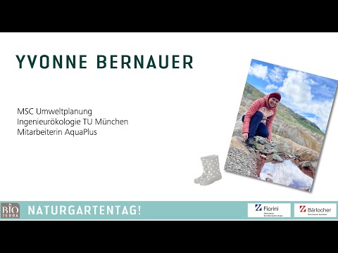 Algen - unterschätzte Organismen