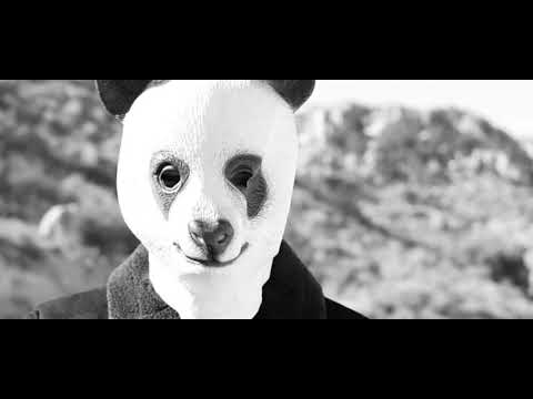 Galwaro x MOHA - Panda