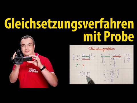 Equating methods with a sample - linear systems of equations | Lehrerschmidt