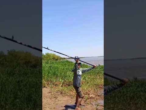 #pesca costa fighiera lugar gratis #rioparaná#lineadepesca#fishing #carretesdepesca#carpfishing