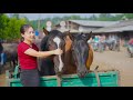 REWIND TIMELAPSE Buying 100 Horses From Villagers Using Truck Transport Horses Go To Market Sell