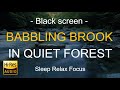 Black Screen | Babbling Brook in Quiet Forest I Trickling Creek | Water Sound |Relaxing Nature Video