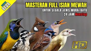 Download lagu MASTERAN MURAI BATU FULL ISIAN TEMBAKAN MEWAH mp3