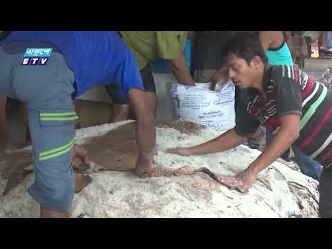 সঠিক দাম পেতে জবাইয়ের ৮ ঘণ্টার মধ্যে আড়তে আনতে হবে চামড়া