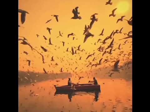 Ennio Morricone  The Lonely Shepherd