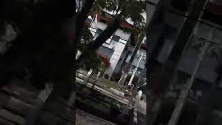 Download lagu Story Wa Dj Mama Muda Riski Viral TikTok | Edit Vn mp3 Download lagu Story Wa Dj Mama Muda Riski Viral TikTok | Edit Vn mp3