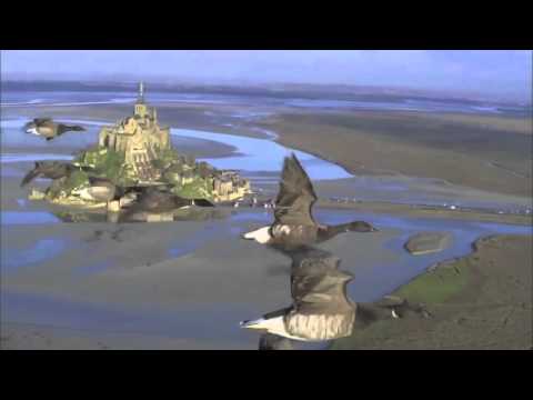 Deva Premal &  Miten  "Fly high"