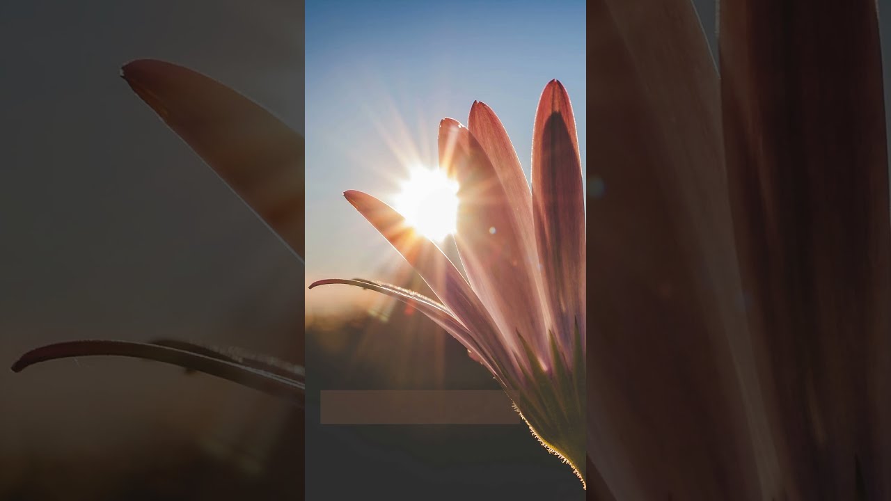 Fanny Areli Vázquez García-9