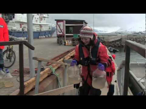 Ocean Acidification: An Ecosystem Facing Dissolution