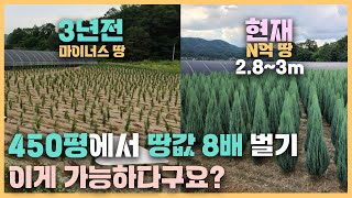 최고식물전문가한테 배우는 식물이야기 클래스가 다릅니다 [JB가든센터_대림묘목농원]