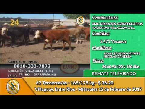 15-02-17 - VENTA DE INVERNADA - TELEVISADO UMC Y HACIENDAS VILLAGUAY S.R.L.