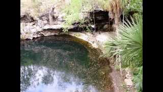 preview picture of video 'CENOTE XTOGIL  YUCATAN  MEXICO'