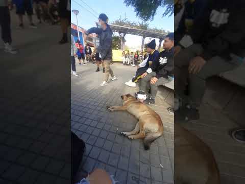 LIL GRIZZLY VS ALEXTASIS