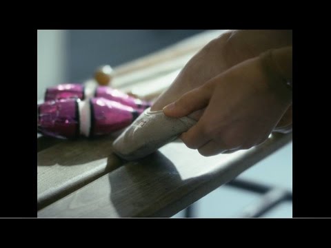 Requin Chagrin - Adelaïde