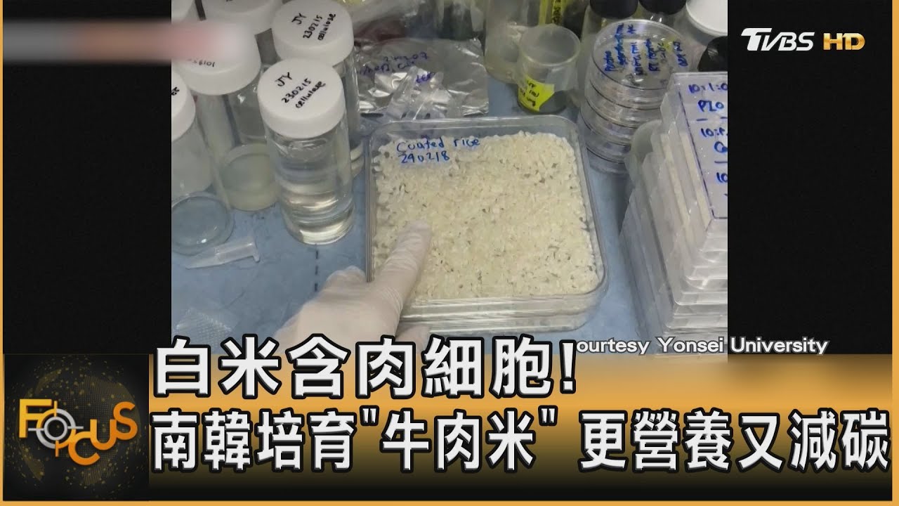 白米含肉細胞!南韓培育「牛肉米」 更營養又減碳