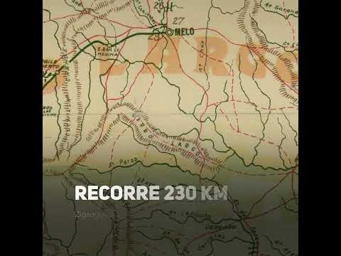 Río Tacuarí - Rincón de Ramírez