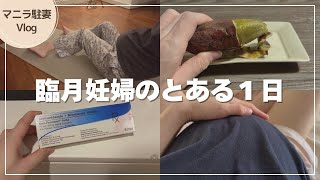 【マニラ生活】臨月妊婦のとある１日｜マニラ駐在妻の平和な日常Vlog