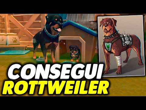 FINALMENTE CONSEGUI CACHORRO ROTTWEILER - Last Day On Earth