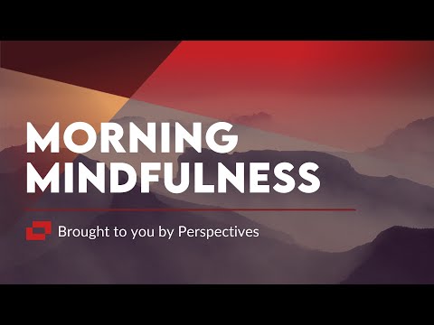 Perspectives Ltd video/presentation/materials