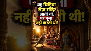 यह चिड़िया मंदिर क्यों आती थी ? #shorts #viral