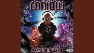 Fraternity of the Impoverished