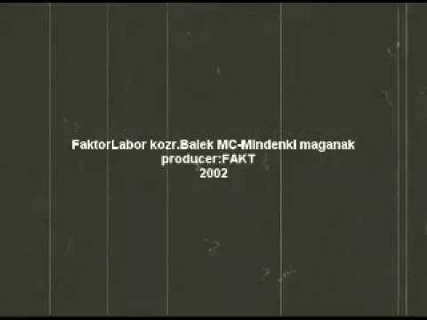 FaktorLabor kozr. Balek mc -Mindenki maganak  2002 prod.FAKT