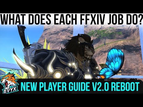 FFXIV Job Breakdown! What each job DOES! [New player guide V2.0]