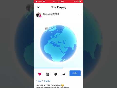 House of the rising sun-the animals. Cover by Sunny