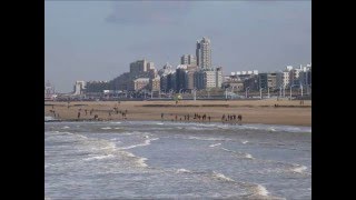 Mezzoforte - Check It Out